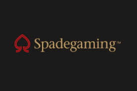 Provider Spadegaming